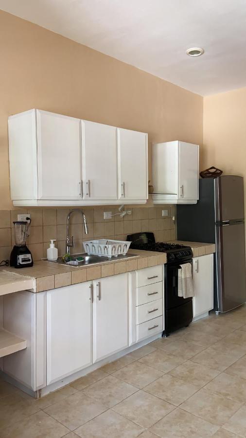 Beachfront Apartment With Swimming Pool. One Bedroom Celestun Zewnętrze zdjęcie