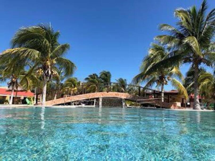 Beachfront Apartment With Swimming Pool. One Bedroom Celestun Zewnętrze zdjęcie