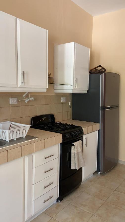 Beachfront Apartment With Swimming Pool. One Bedroom Celestun Zewnętrze zdjęcie