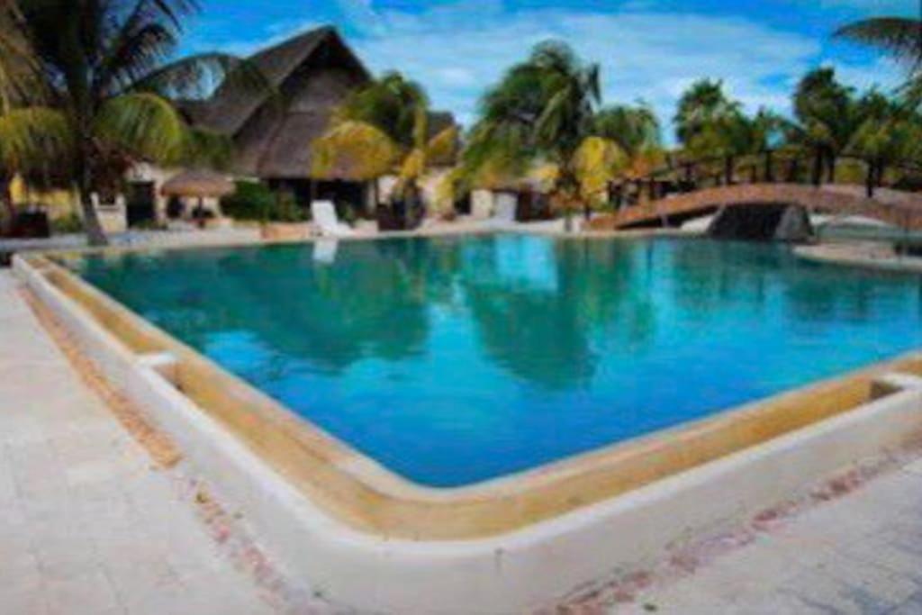 Beachfront Apartment With Swimming Pool. One Bedroom Celestun Zewnętrze zdjęcie